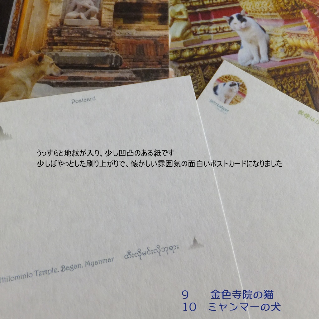 アジアの世界遺産&犬と猫 ポストカード