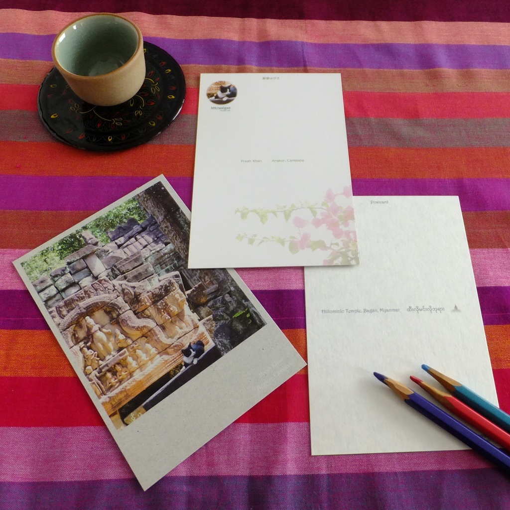 アジアの世界遺産&犬と猫 ポストカード