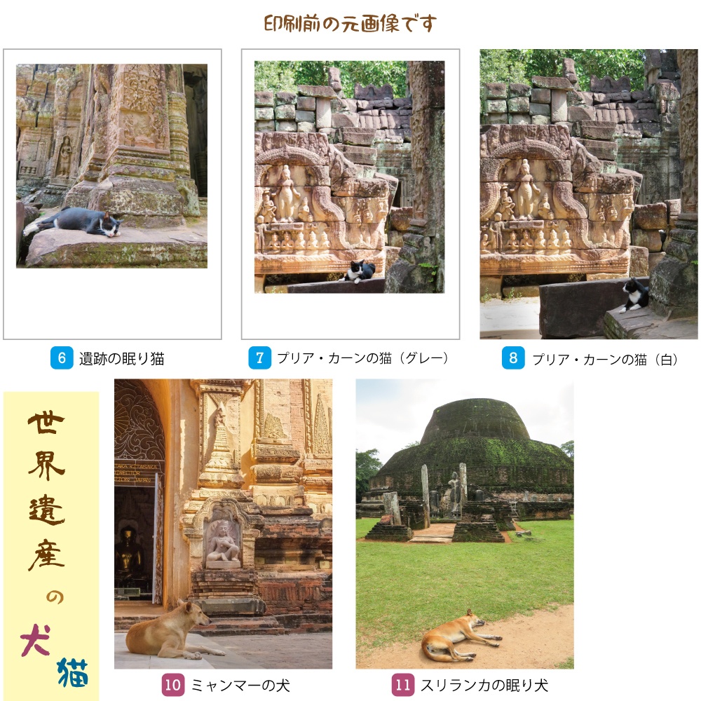 アジアの世界遺産&犬と猫 ポストカード