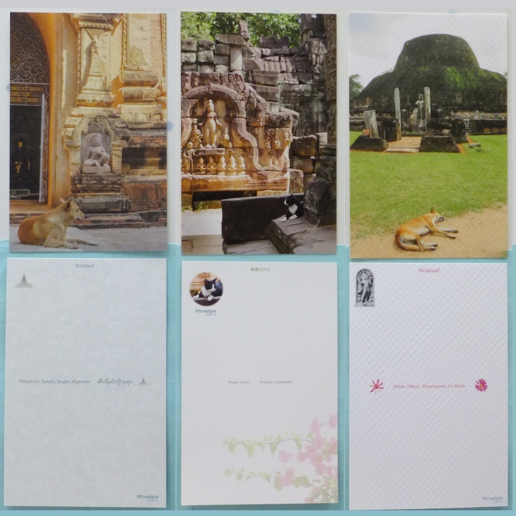 アジアの世界遺産&犬と猫 ポストカード