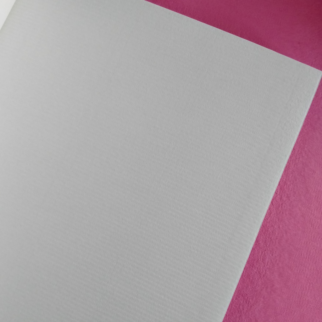 微小藻類ノート B6miniサイズ