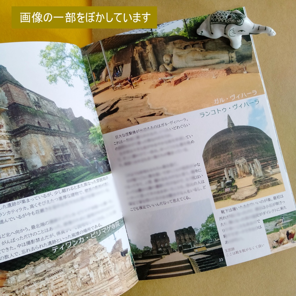 スリランカ遺跡巡り Land of serendipity