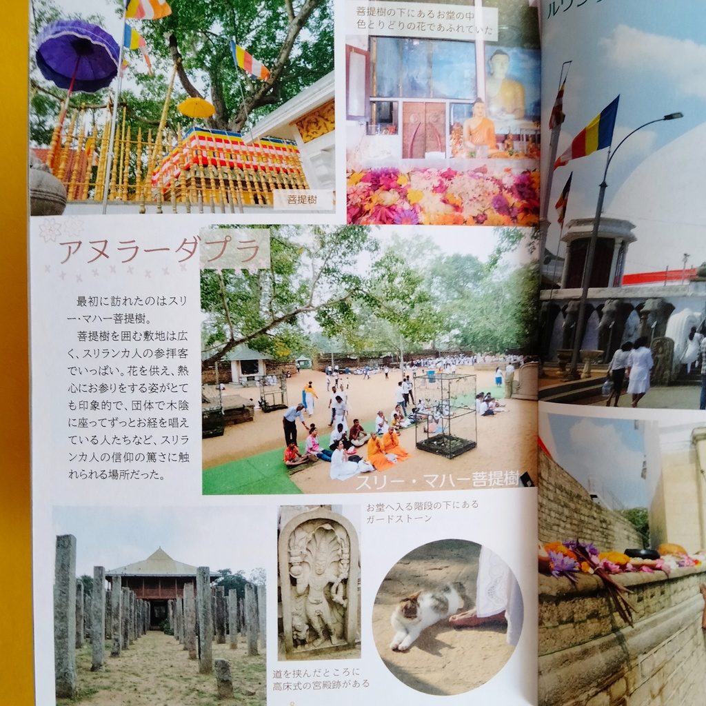 スリランカ遺跡巡り Land of serendipity