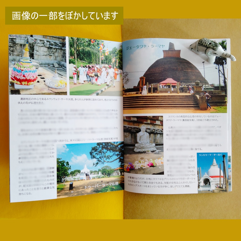 スリランカ遺跡巡り Land of serendipity