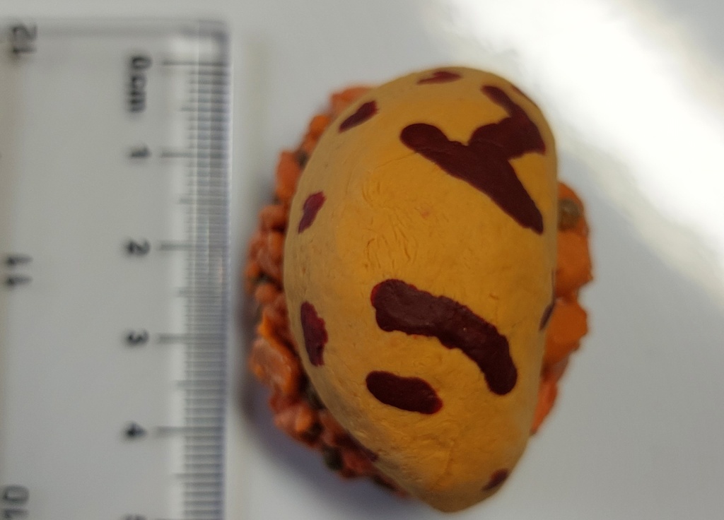 ぷるぷる玉子のオムライス