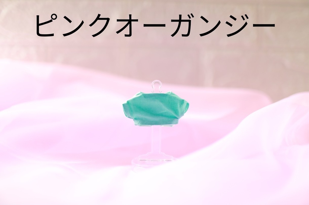 ぬい服/小物撮影受付ページ