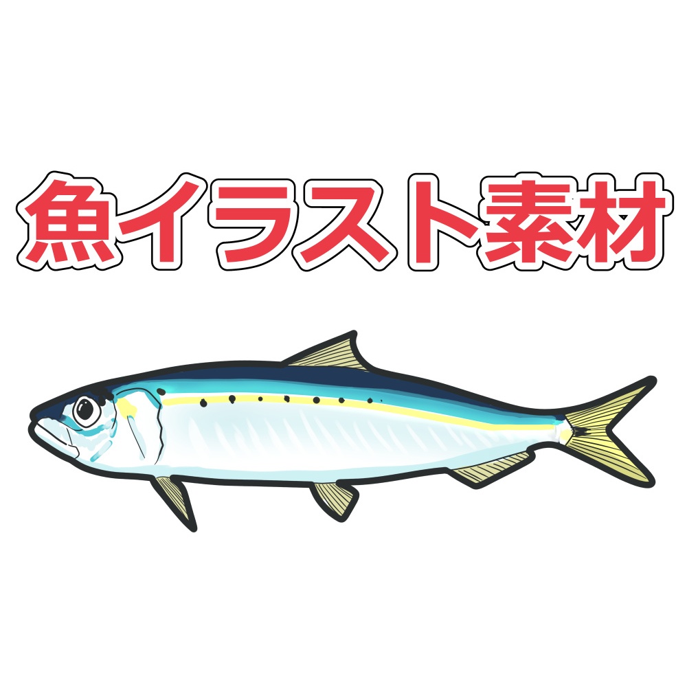 【海の魚シリーズ】イワシのイラスト素材｜透過PNG・商用利用可
