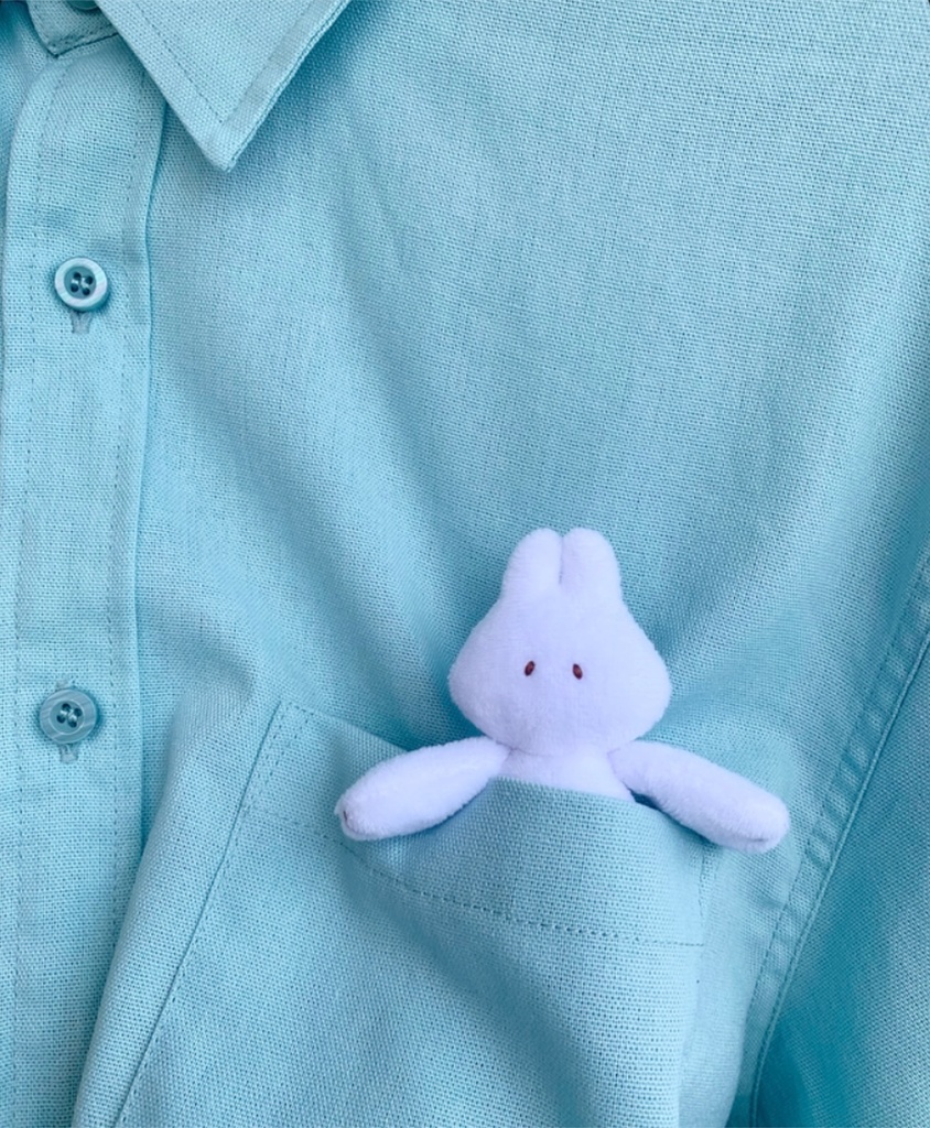 小さなてうさぎ