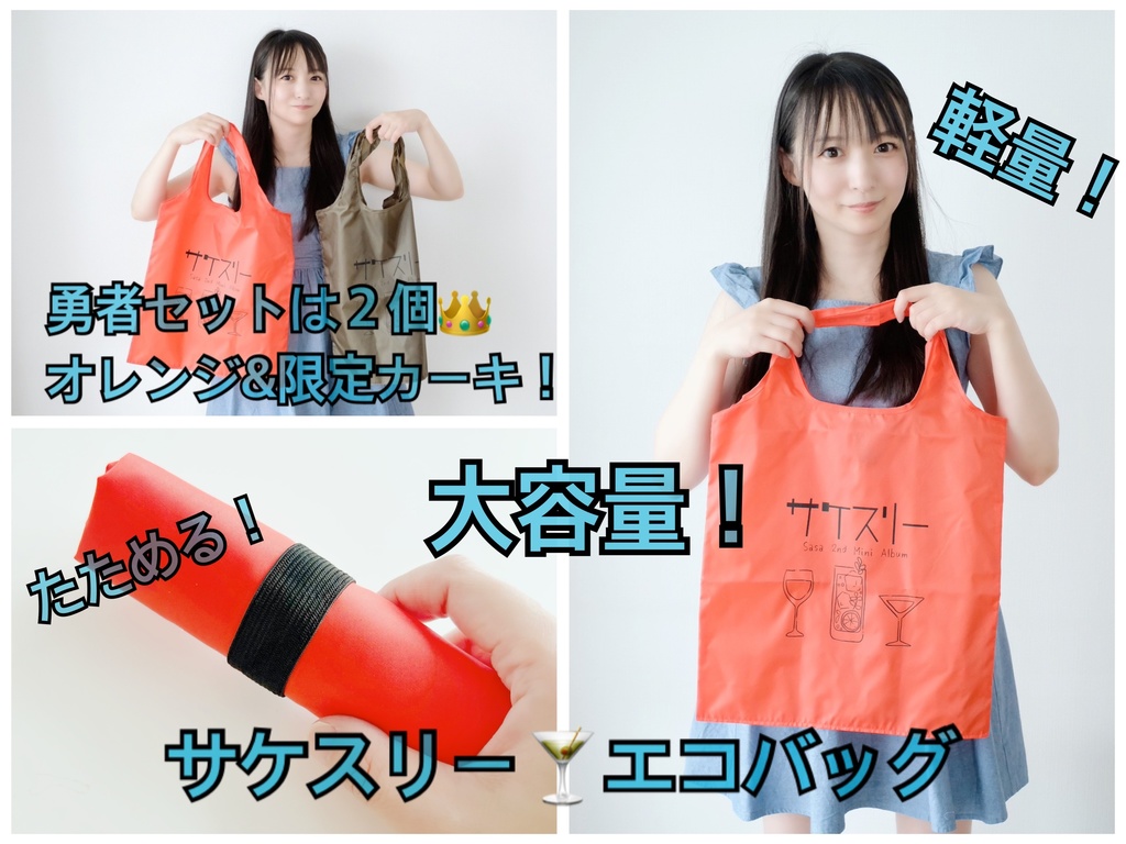 【営業部長セット】サケスリー6枚