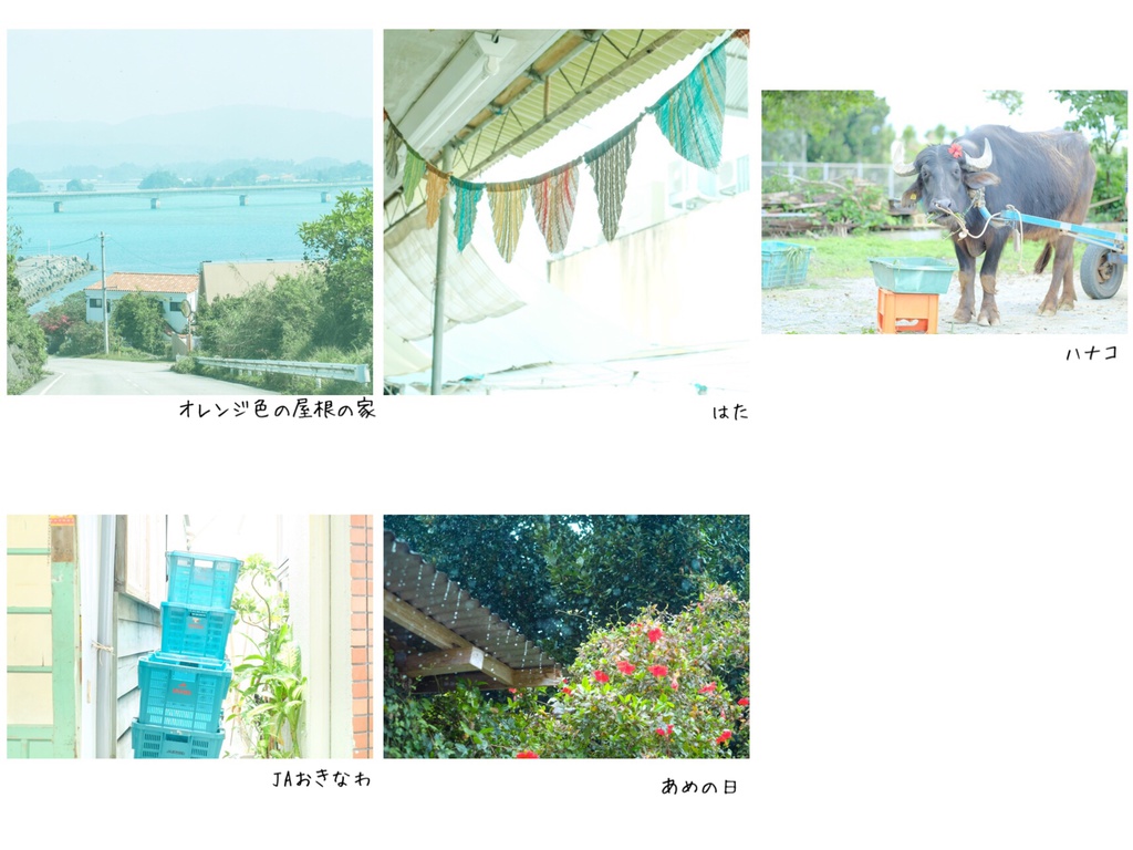 「ナハトカ。」展示写真【額装・マット込み】