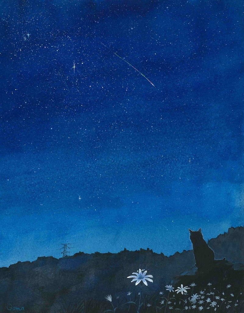 水彩画（原画）（額装済み）「高原に咲く花」