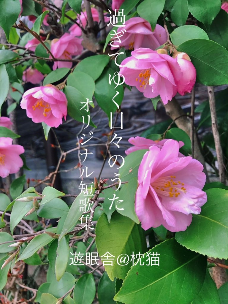過ぎてゆく日々のうた　オリジナル短歌集