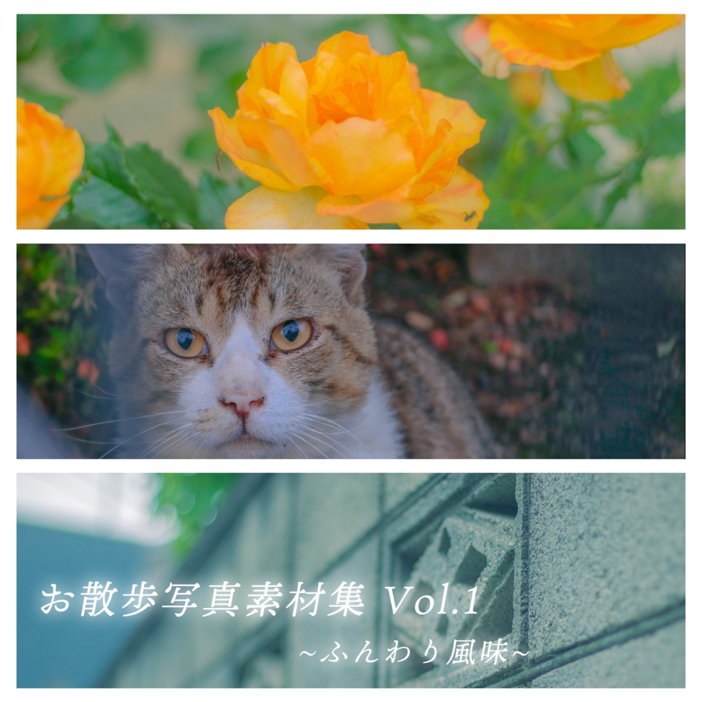 【写真素材】お散歩写真素材集 Vol.1~ふんわり風味~【50枚】