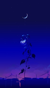 ステッカー・ステッカーセット