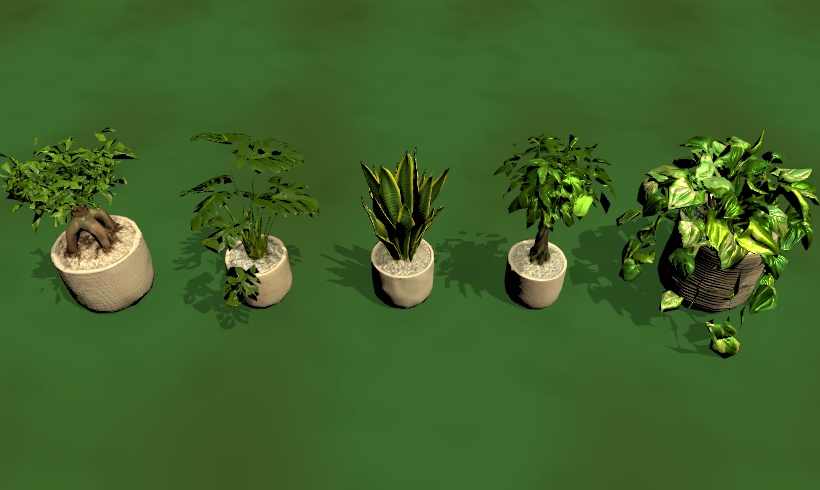 定番観葉植物5種セット|Unity6URP / VRChatWorld対応