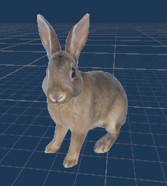 【URP・VRChat対応】動物の置物 5種セット|犬・猫・コアラ・サル・うさぎ3Dモデル