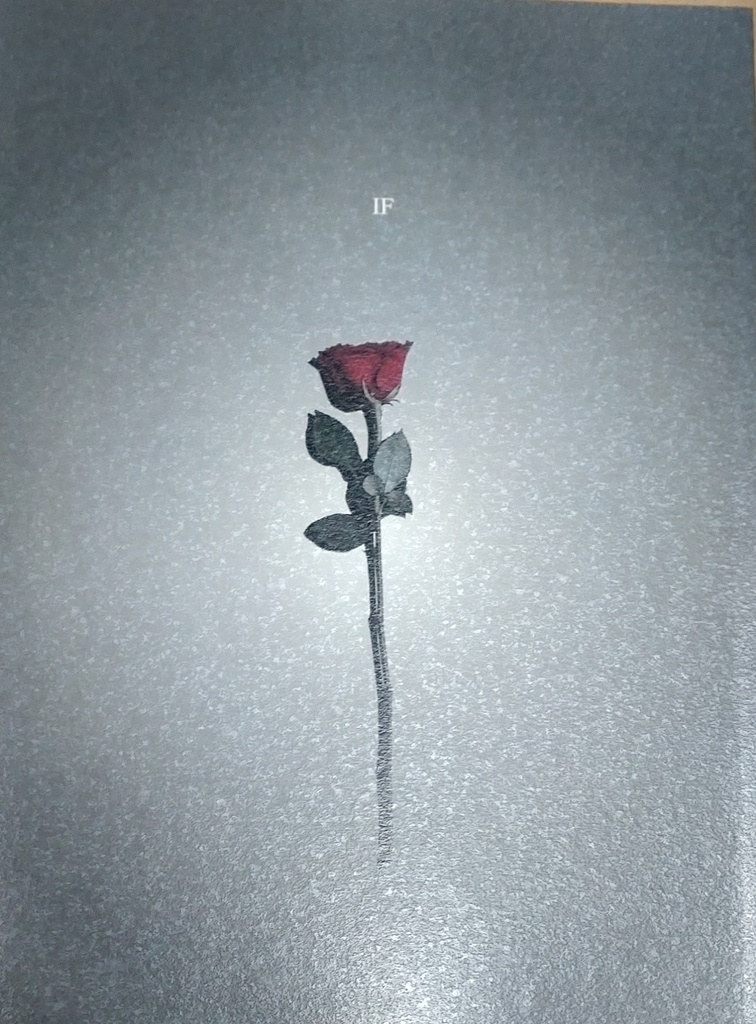 【既刊】IF