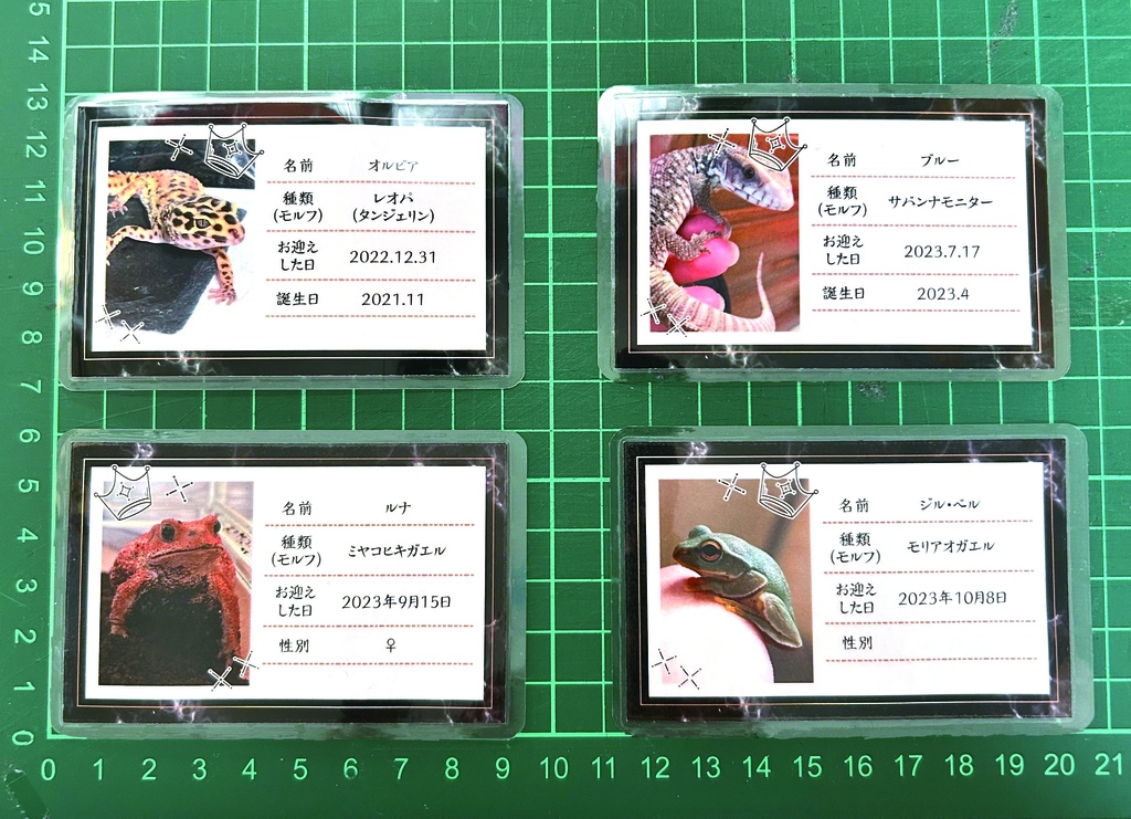 ペットオリジナル名札