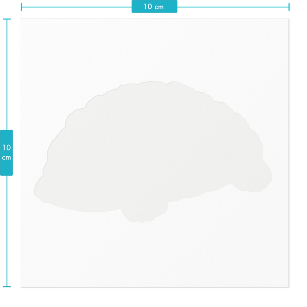 すごいモヒカンなカクレガメさん