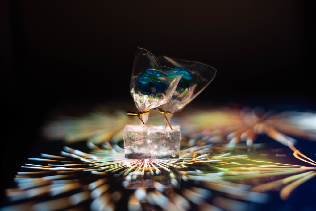 飴ちゃんの耳飾り ヨーヨー (水色)