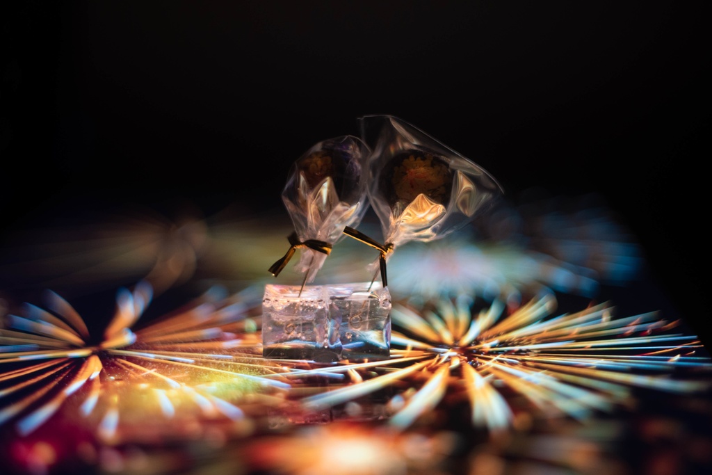 飴ちゃんの耳飾り 花火