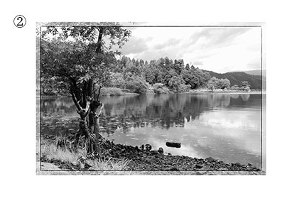 フォトカード(「剥離と骨」掲載作品写真)