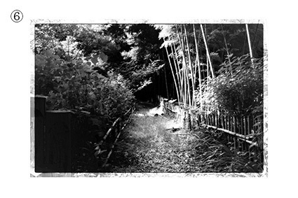 フォトカード(「剥離と骨」掲載作品写真)