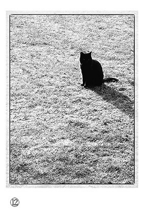 フォトカード(「剥離と骨」掲載作品写真)