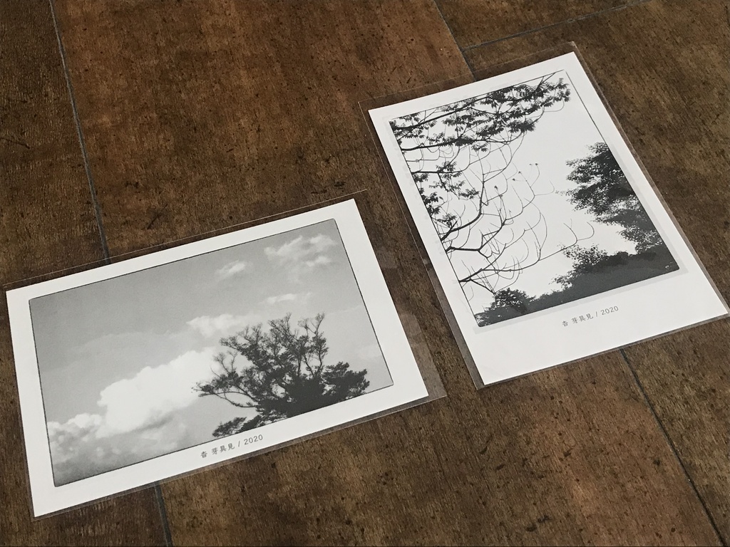 フォトカード(「剥離と骨」掲載作品写真)