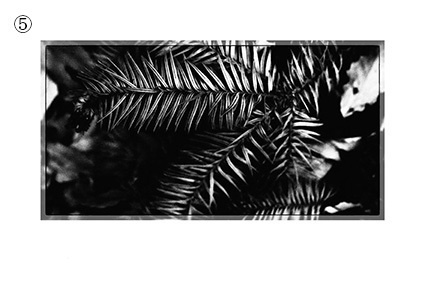 フォトカード(「剥離と骨」掲載作品写真)