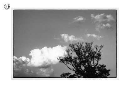 フォトカード(「剥離と骨」掲載作品写真)