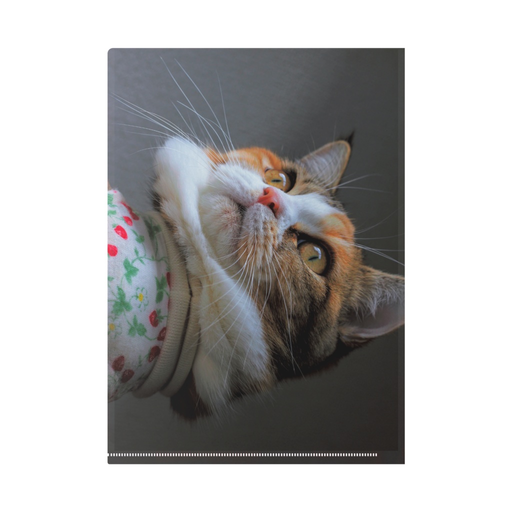 ぽてぐみクリアファイル