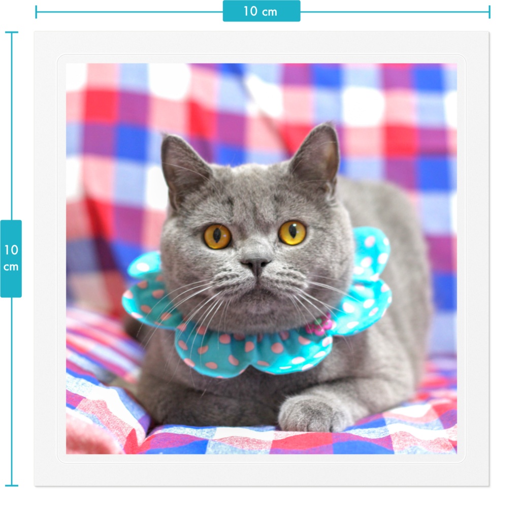 ぽてステッカー