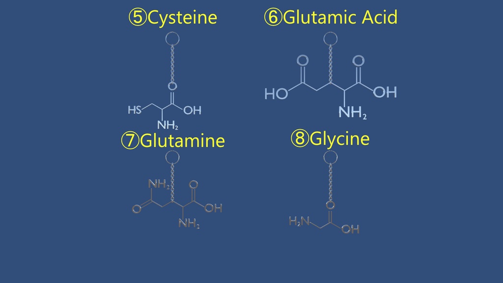 【VRChat想定】アミノ酸イヤリング【PhysBone対応済み】AminoAcid_Earring