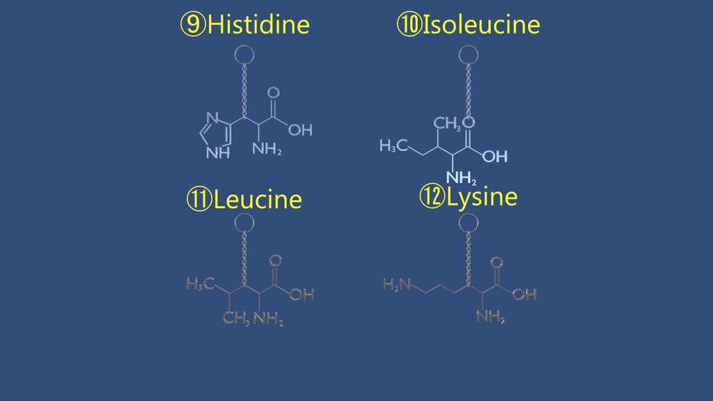 【VRChat想定】アミノ酸イヤリング【PhysBone対応済み】AminoAcid_Earring