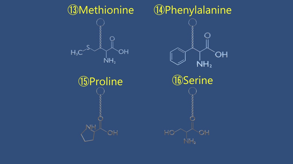 【VRChat想定】アミノ酸イヤリング【PhysBone対応済み】AminoAcid_Earring