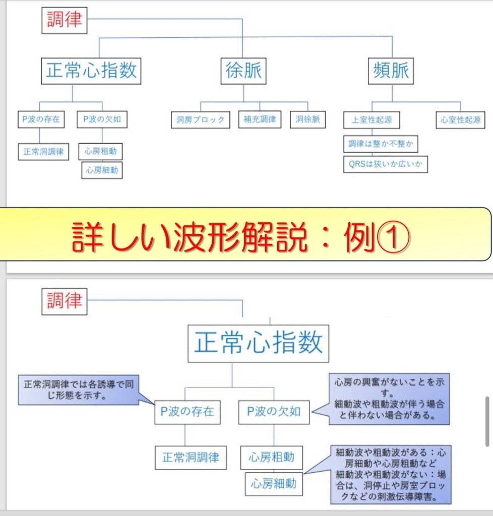 心電図試験対策3~4級 みっちりセット