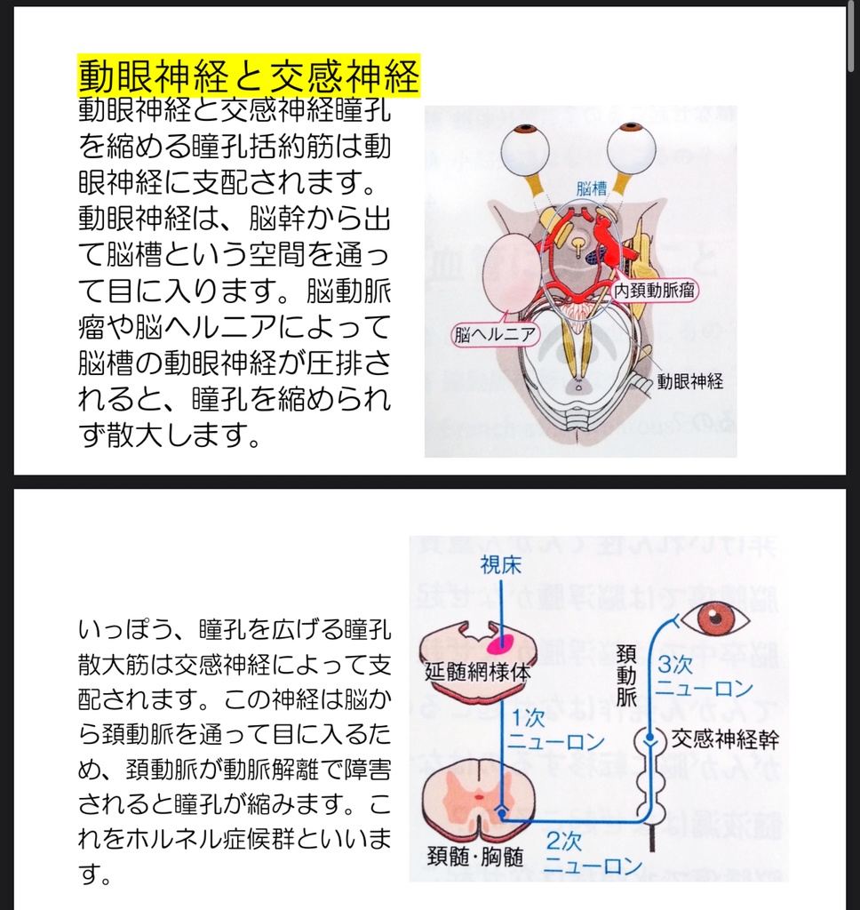 なんで?が分かる脳神経外科資料