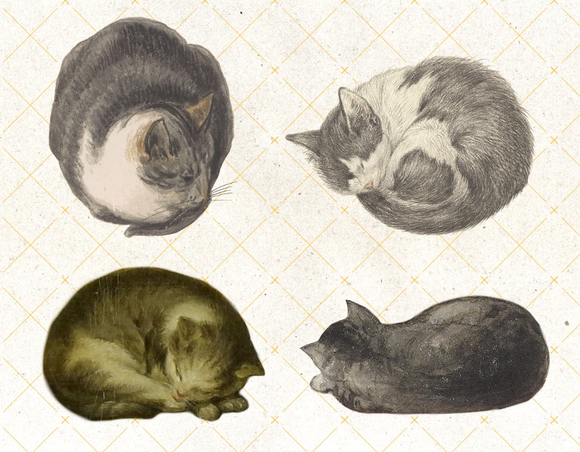 【素材(無償)】猫 8種+おまけ