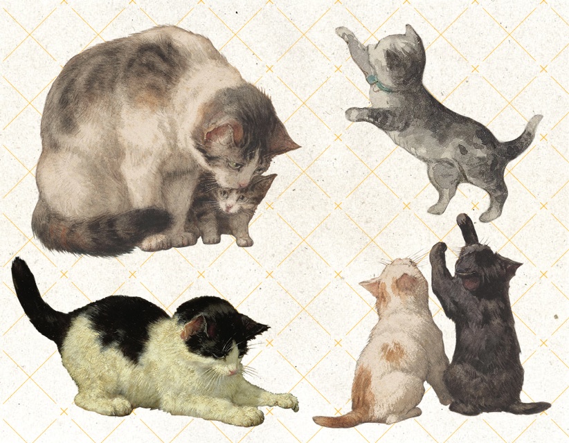 【素材(無償)】猫 8種+おまけ