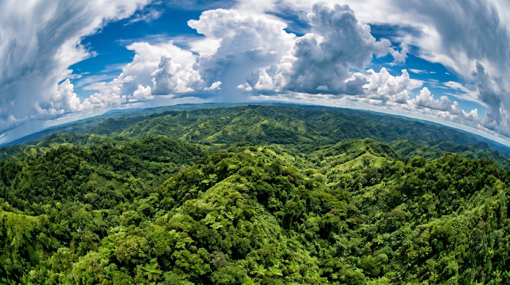 Echoes of the Earth