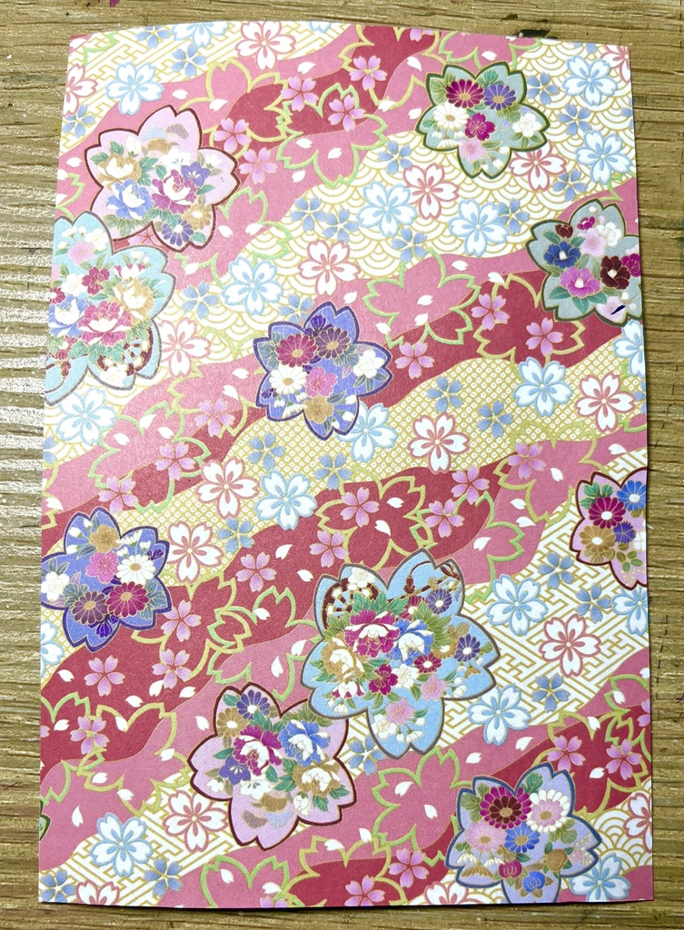 OP キッド水彩原画イラスト