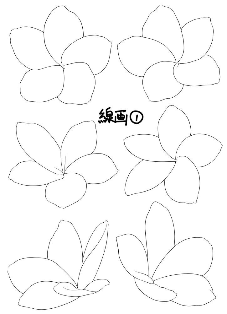 【花素材】プルメリア