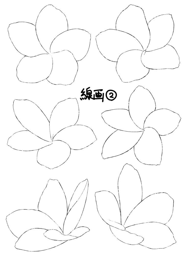 【花素材】プルメリア