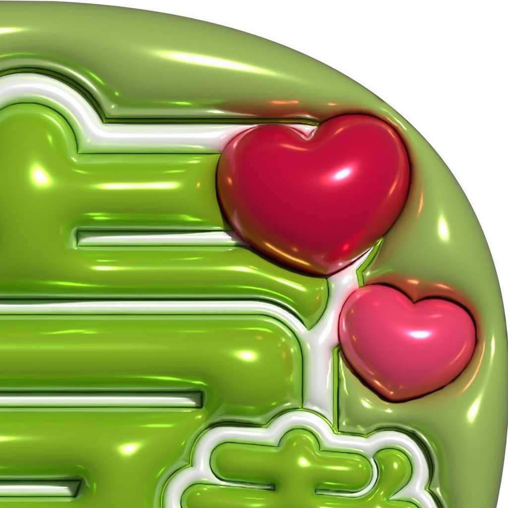 【No.0018】ぷっくりうちわ文字 名前 ファンサ timelesz 原嘉孝