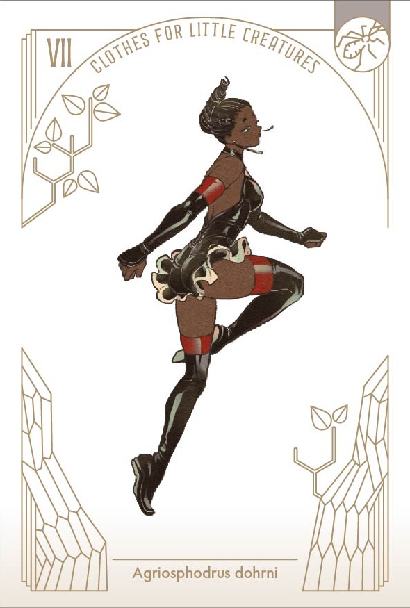 「虫の装い」ポストカードセット(12枚1セット)