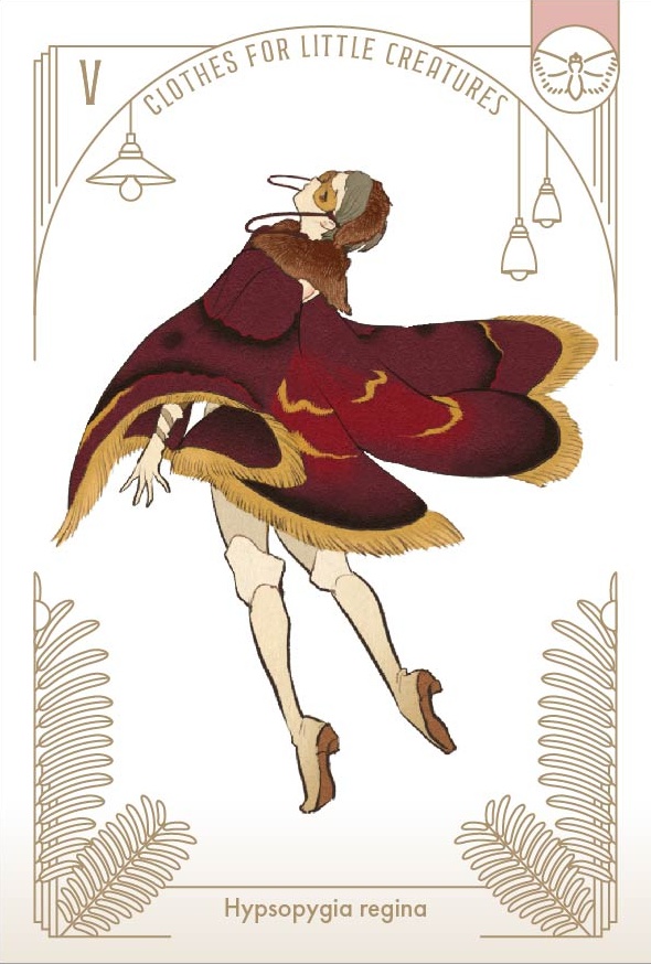 「虫の装い」ポストカードセット(12枚1セット)