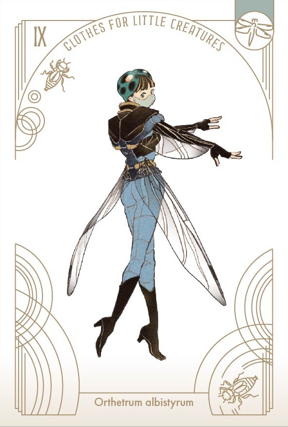 「虫の装い」ポストカードセット(12枚1セット)