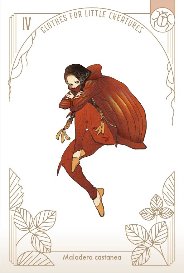 「虫の装い」ポストカードセット(12枚1セット)