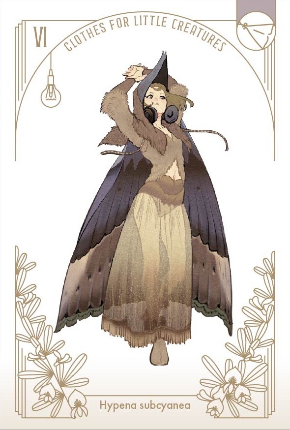 「虫の装い」ポストカードセット(12枚1セット)